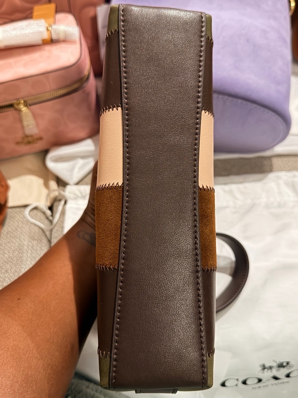 BNWT: Coach Coachtopia Small Alter Ego Bag - Picture 2 of 6